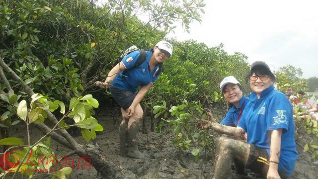 150名志愿者走进东寨港种植红树林美化环境